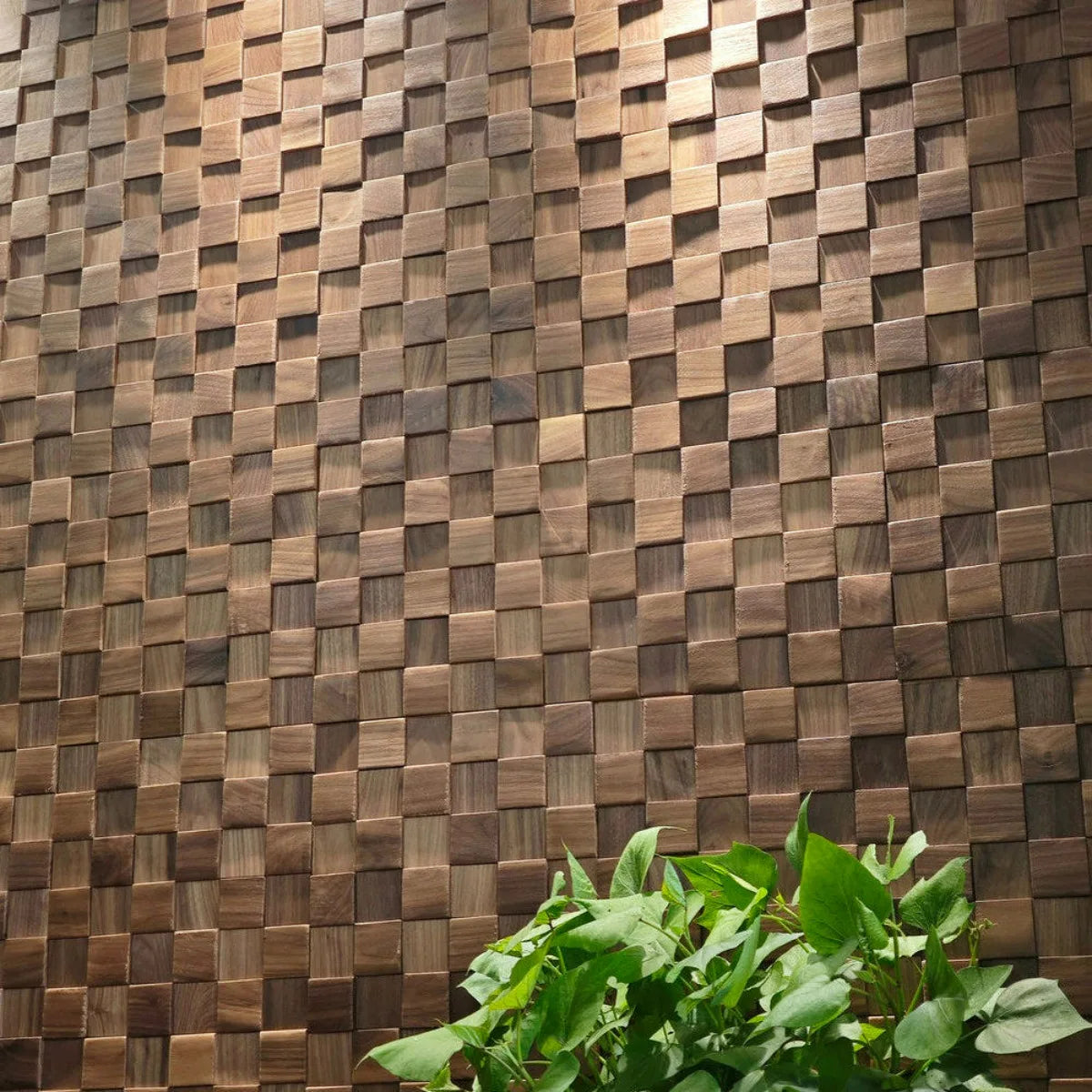 Wall covered with many wood square mosaic panels, with a plant on the floor below
